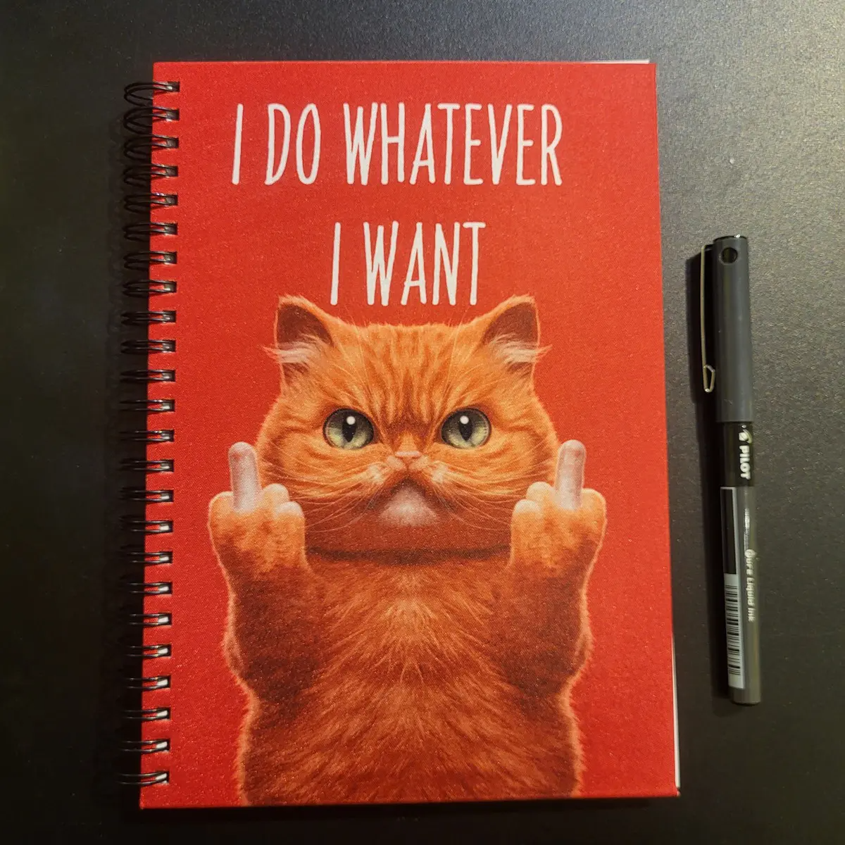Kutuleras I Do Whatever I Want Notebook