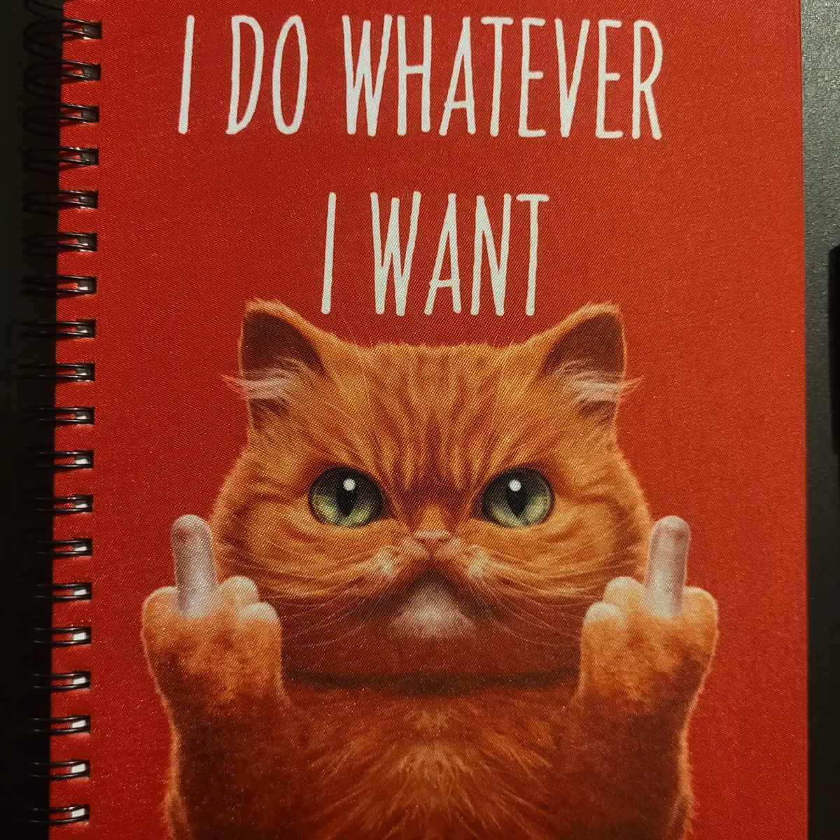 Kutuleras I Do Whatever I Want Notebook