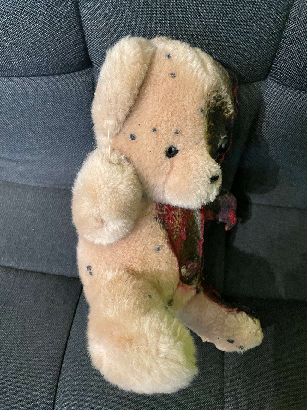 Half-Decapitated teddy bear - Only one piece