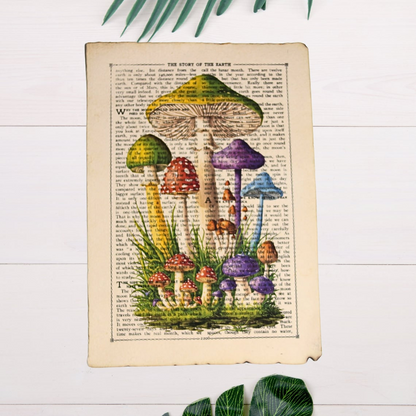 Mushroom Papyrus