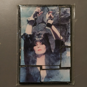 Glass mosaic magnet  "Elvira in chains"