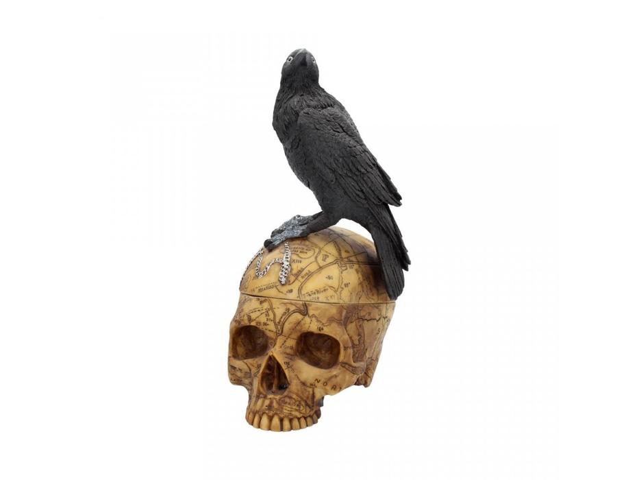 Raven and Skull Box