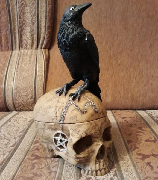 Box crow skull