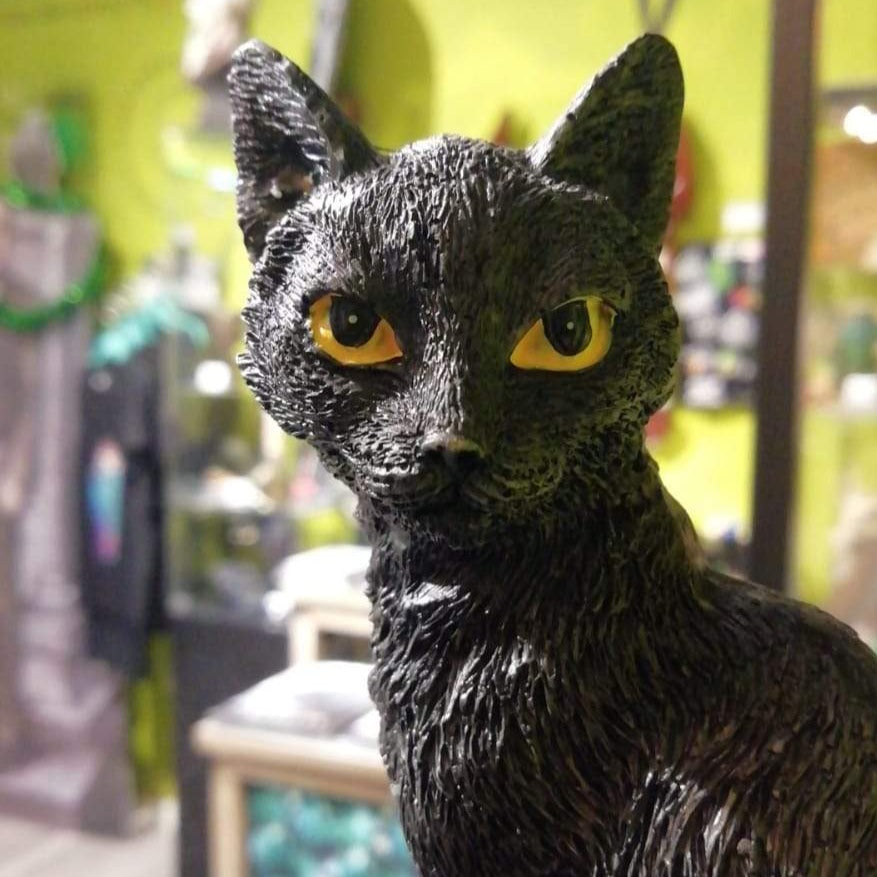 Black cat, skull and roses