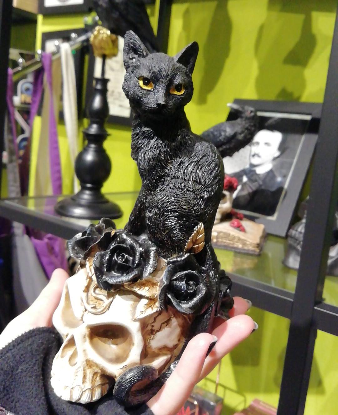 Black cat, skull and roses