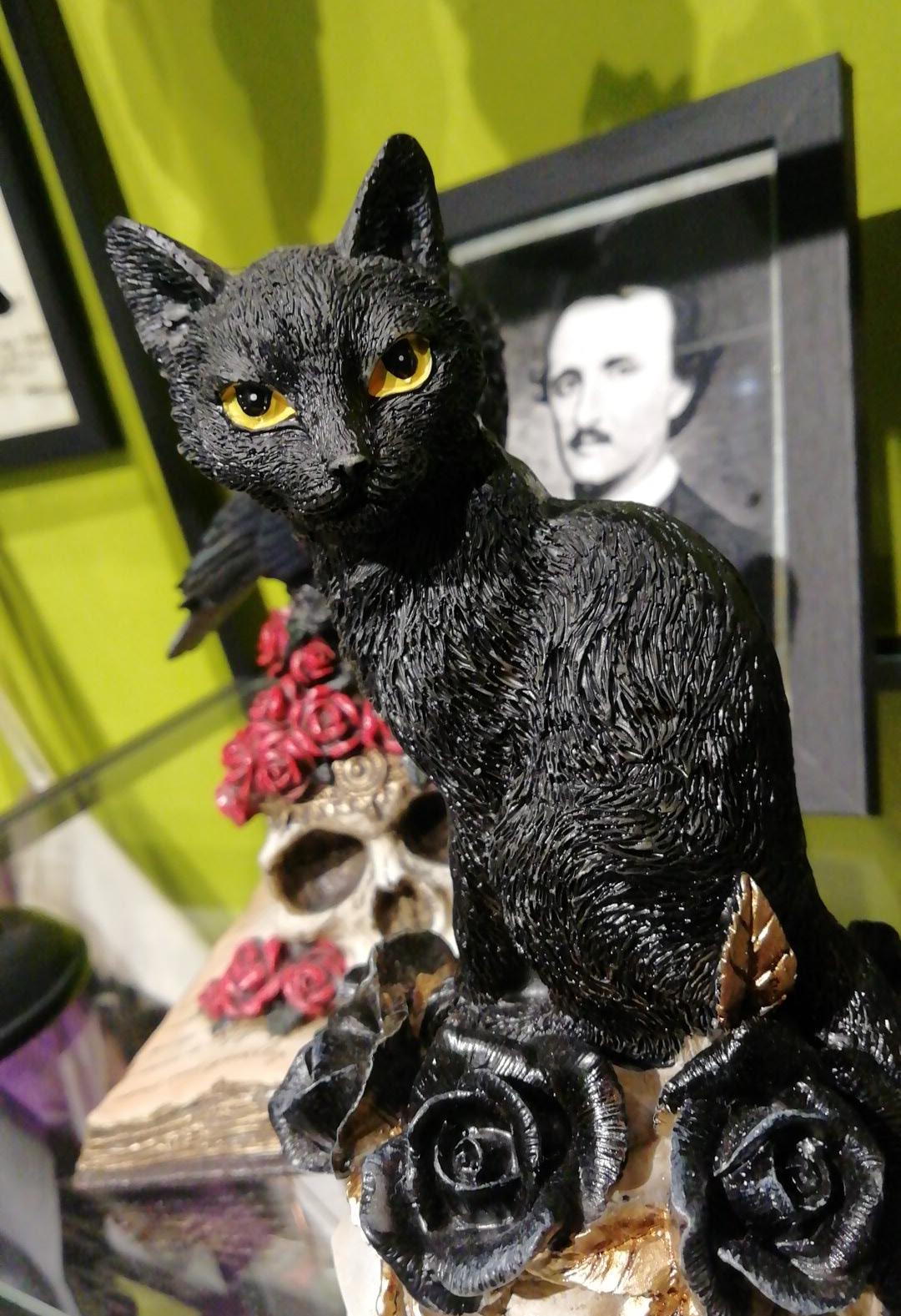 Black cat, skull and roses