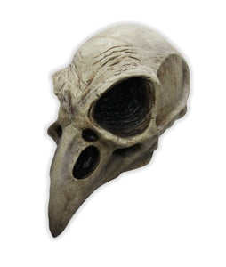Raven skull Mask