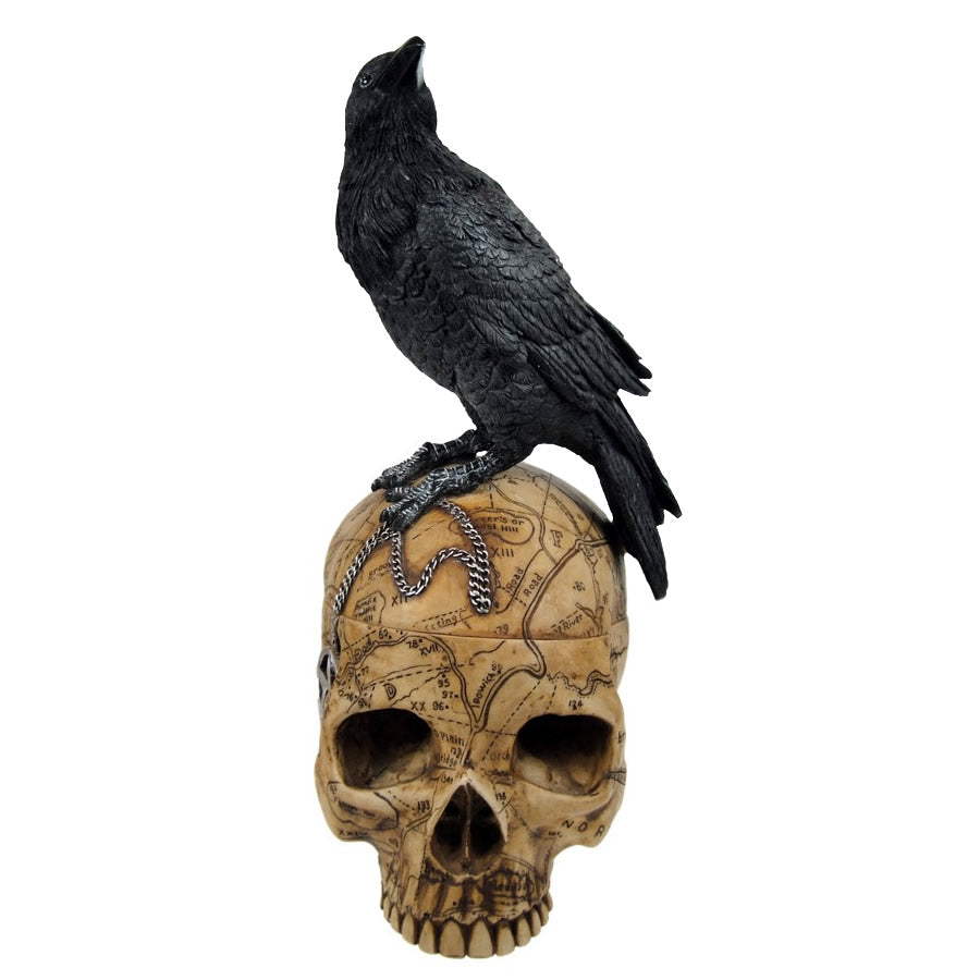 Caja cráneo y cuervo