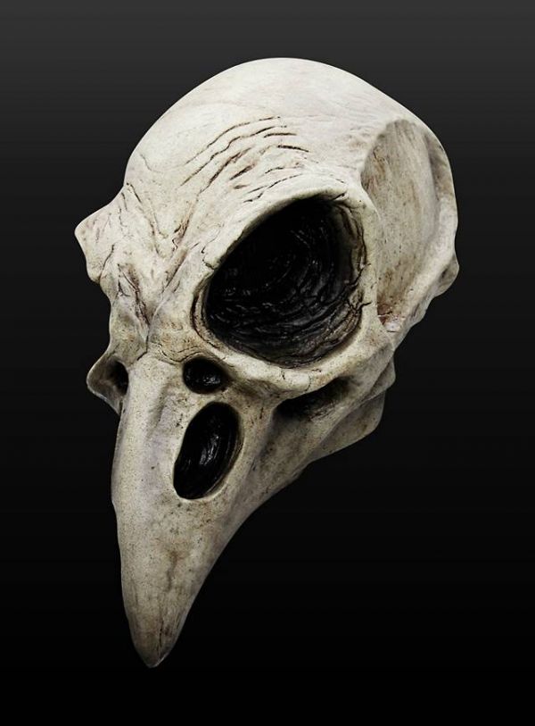 Raven skull Mask