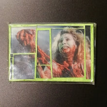 Load image into Gallery viewer, Glass mosaic magnet  &quot; The Bride of Re-Animator &quot;